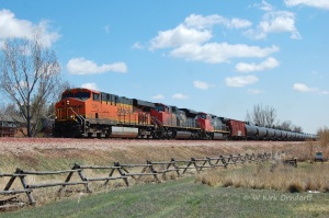 An oil empty accelerates out of Loveland with two Canadian National locomotives.